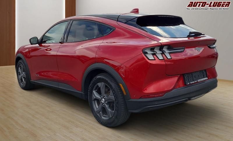 Gebraucht Ford Mustang Mach-E Standard Range 2021 Lucidrot lucidrot SUV