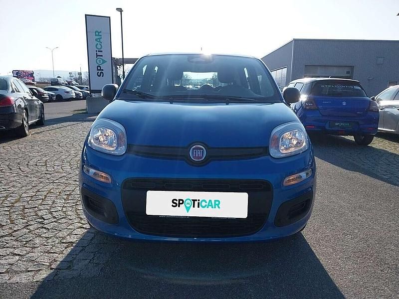 Neu Fiat Panda 69 PS (50 kW) 2025 Blau Kleinwagen