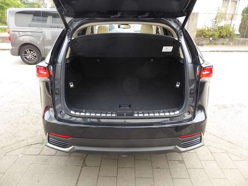 Gebraucht Lexus NX300h 155 PS (114 kW) 2020 Schwarz SUV