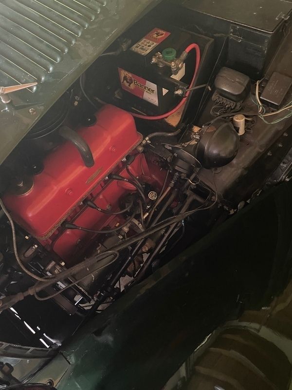 Gebraucht MG TD 54 PS (39 kW) 1953 Dunkelgrün Cabrio