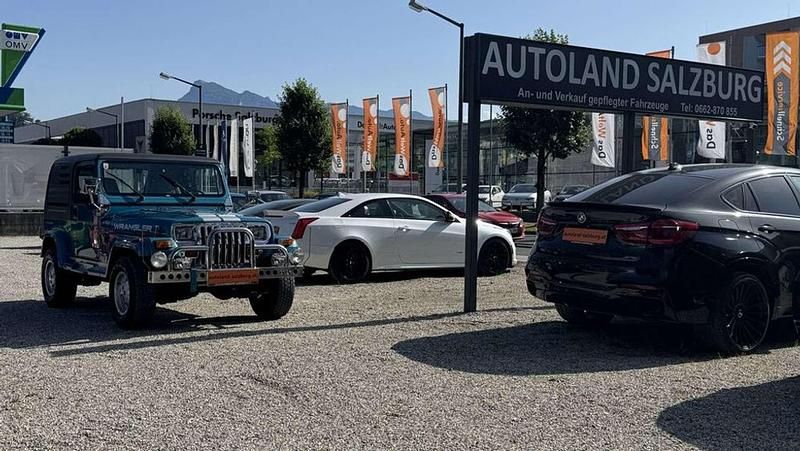 Gebraucht Jeep Wrangler 124 PS (91 kW) 1992 Blau SUV