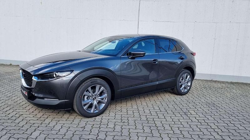 Gebraucht Mazda CX-30 Exclusive 140 PS (102 kW) 2025 Grau SUV
