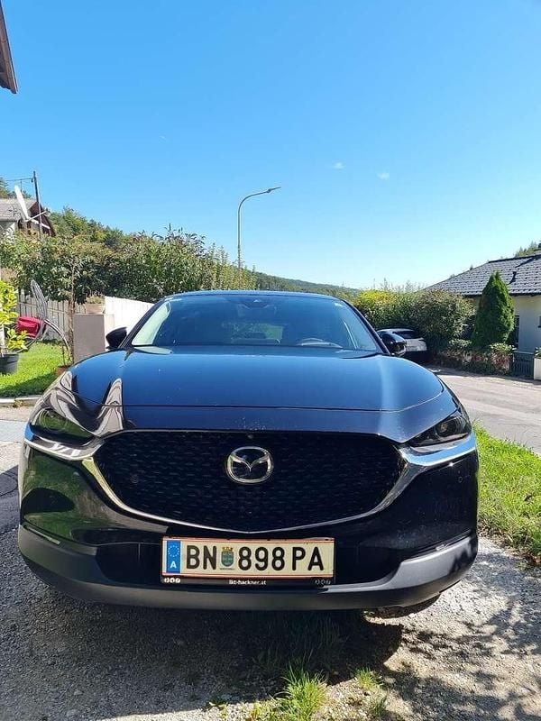 Gebraucht Mazda CX-30 179 PS (131 kW) 2019 SUV