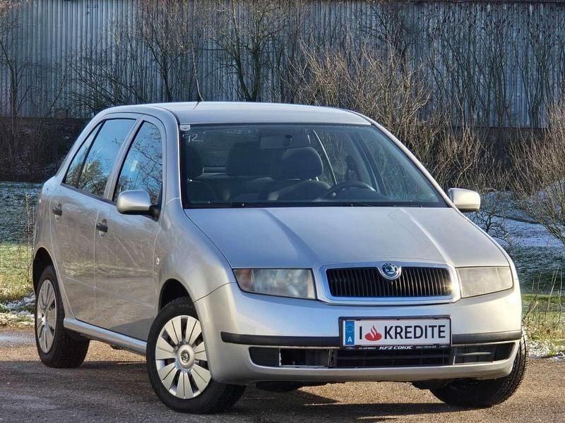 Gebraucht Skoda Fabia Classic 64 PS (47 kW) 2004 Grau Kleinwagen