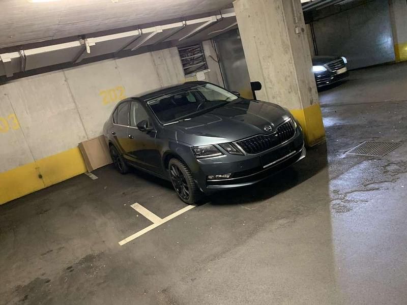 Gebraucht Skoda Octavia Style 150 PS (110 kW) 2017 Grau Limousine