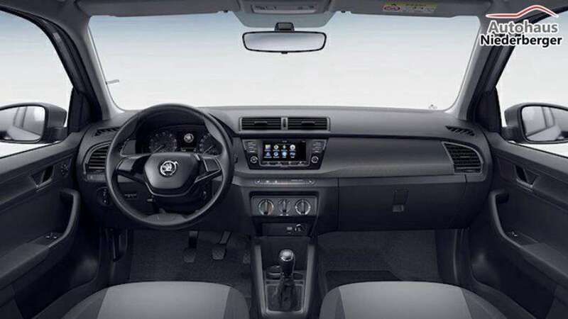 Gebraucht Skoda Fabia Active 60 PS (44 kW) 2022 Grau Kleinwagen