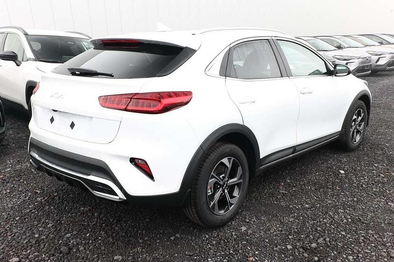 Neu Kia XCeed 150 PS (110 kW) 2025 Weiß SUV