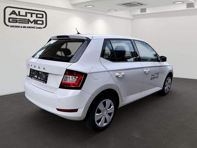 Gebraucht Skoda Fabia Active 95 PS (69 kW) 2020 Weiß Kleinwagen