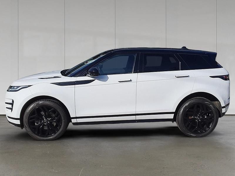 Gebraucht Land Rover Range Rover evoque SE Dynamic 163 PS (119 kW) 2024 Fuji white SUV