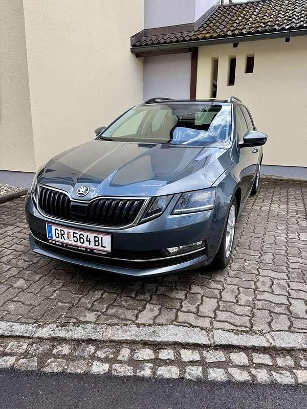 Gebraucht Skoda Octavia 150 PS (110 kW) 2018 Grau Kombi