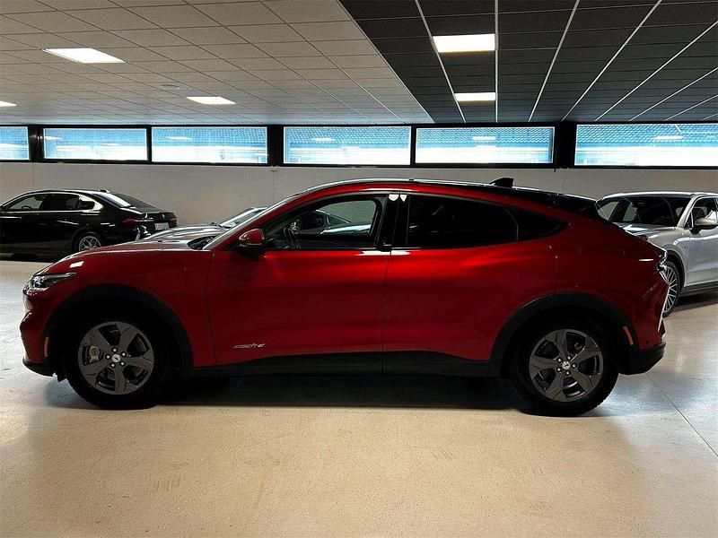 Gebraucht Ford Mustang Mach-E Standard Range 197 kW (269 PS) 2021 Rot SUV