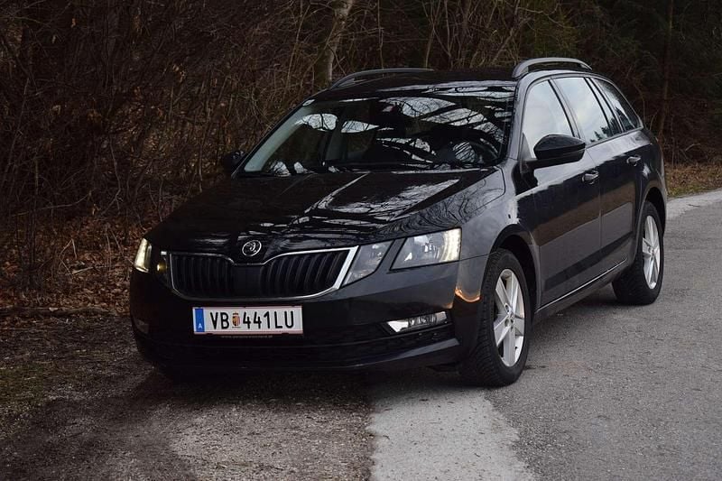 Luxus Skoda Octavia 16 Tdi 116 Ps Probleme Ebenbild