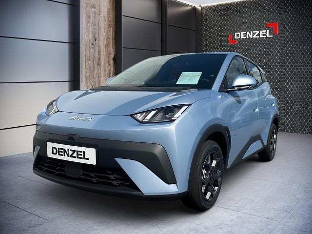 Neu BYD Dolphin Surf Boost 64 kW (88 PS) 2025 Ice blue Kleinwagen