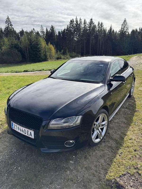 Gebraucht Audi A5 Sportback 170 PS (125 kW) 2010 Kleinwagen