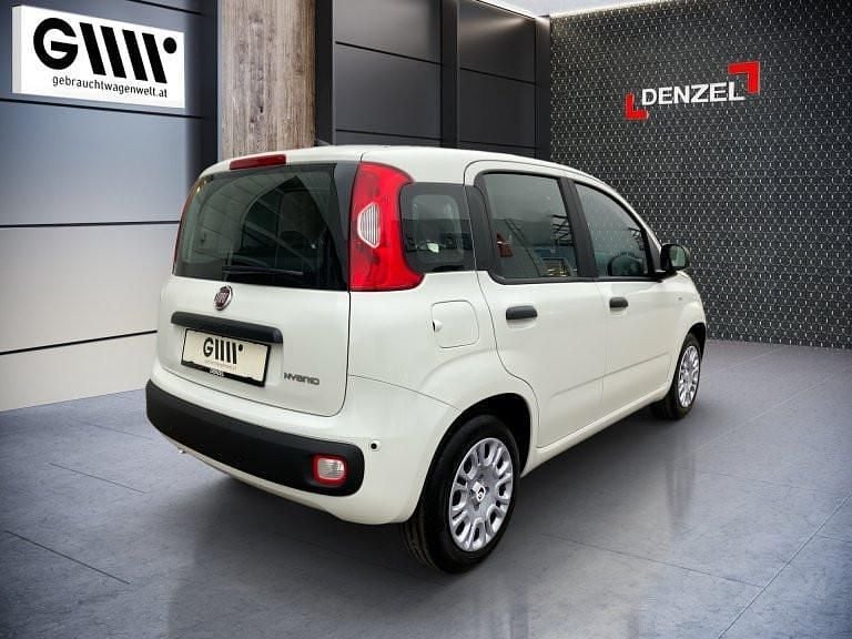 Neu Fiat Panda 70 PS (51 kW) 2025 Weiß Kleinwagen