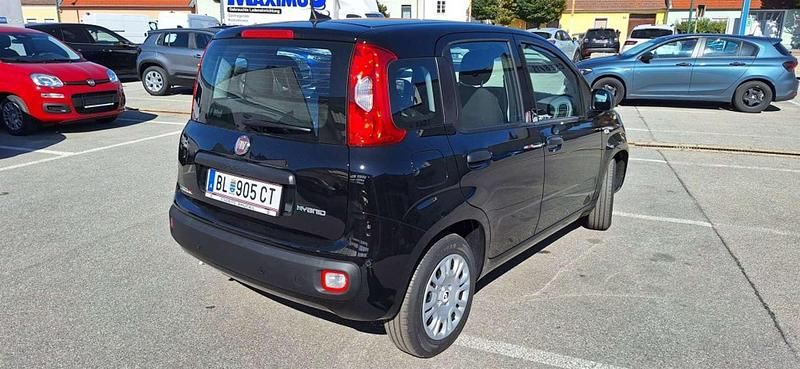 Neu Fiat Panda 69 PS (50 kW) 2025 Schwarz Kleinwagen