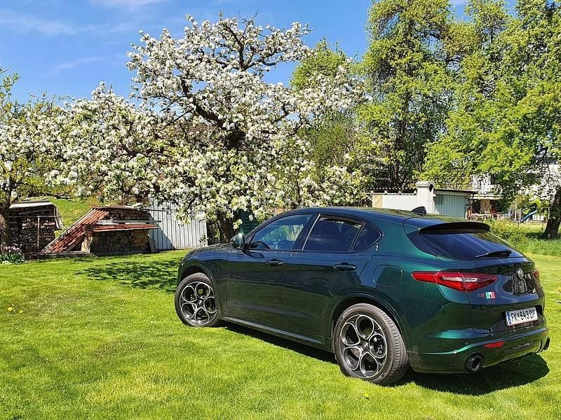 Grün Gebraucht 2020 Alfa Romeo Stelvio Veloce SUV | € 40.990 - Bild 1/4