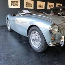Gebraucht Austin Healey 100 90 PS (66 kW) 1954 Blau Cabrio