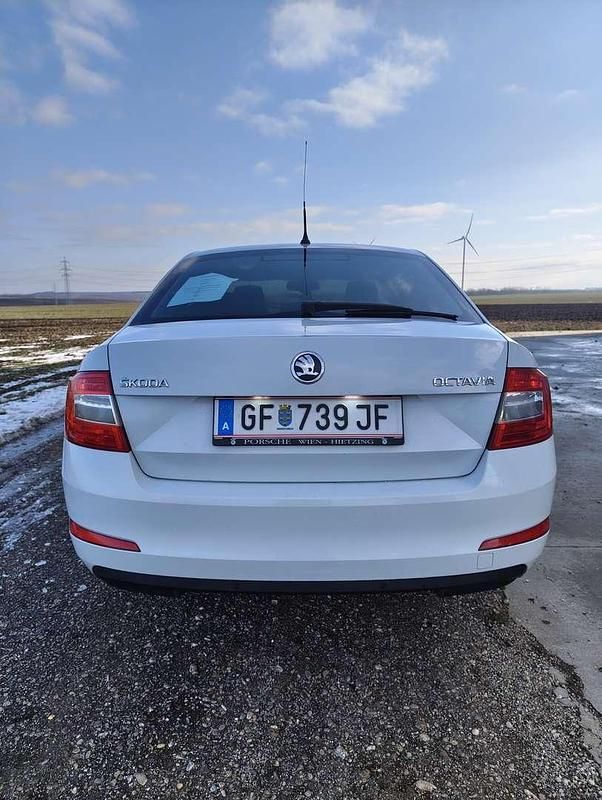 Gebraucht Skoda Octavia Active 105 PS (77 kW) 2014 Weiß Limousine