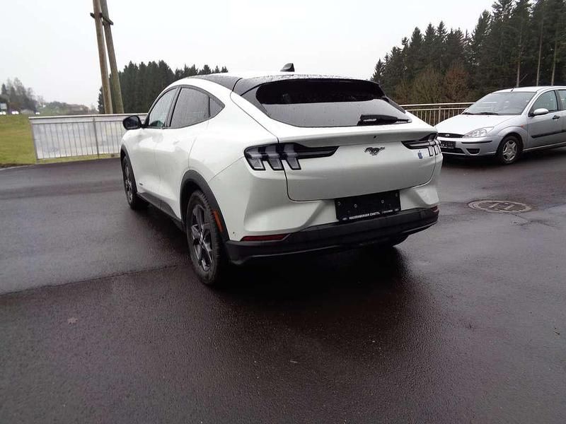 Gebraucht Ford Mustang Mach-E Basis 197 kW (269 PS) 2023 Weiß SUV