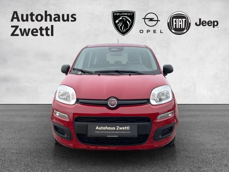 Neu Fiat Panda Icon 71 PS (52 kW) 2026 Schwarz Kleinwagen