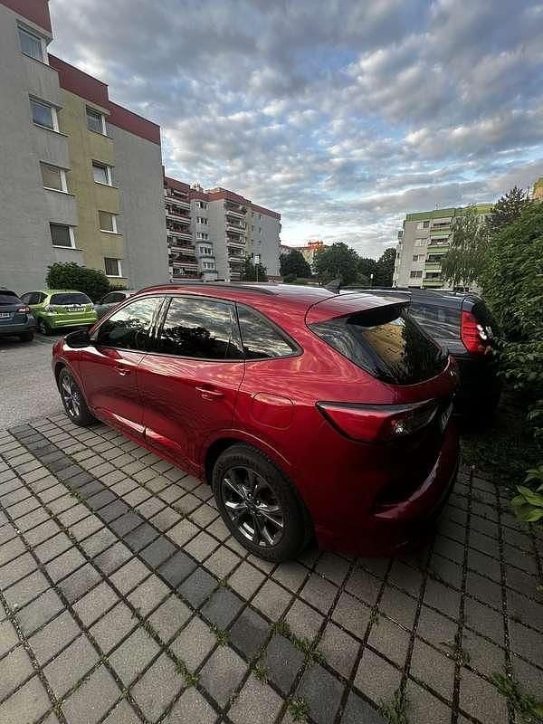 Gebraucht Ford Kuga ST-Line X 150 PS (110 kW) 2021 Rot SUV