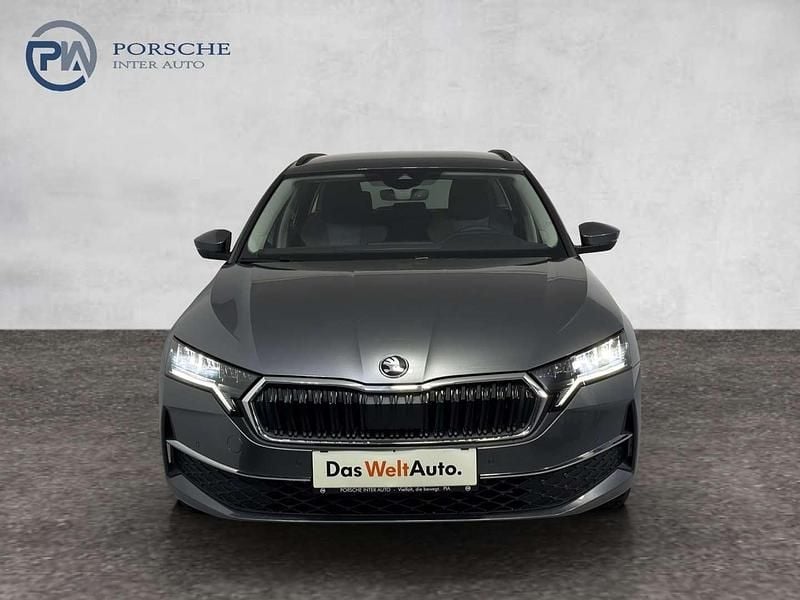 Gebraucht Skoda Octavia Selection 150 PS (110 kW) 2025 Mittelgrau  metallic Kombi