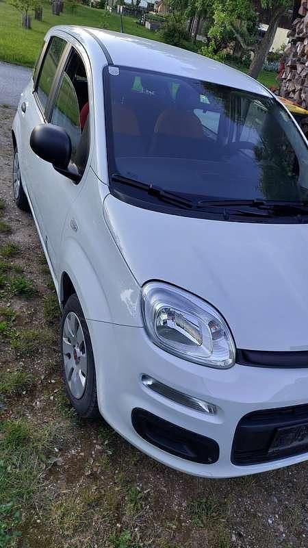 Weiß Gebraucht 2017 Fiat Panda Easy Kleinwagen | € 6.100 (Fairer Preis) - Bild 1/4