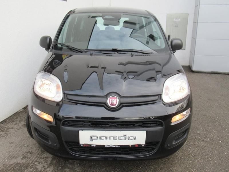 Neu Fiat Panda Icon 65 PS (47 kW) 2026 Kleinwagen