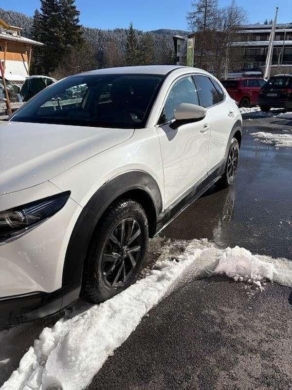 Gebraucht Mazda CX-30 Exclusive-Line 186 PS (136 kW) 2023 SUV