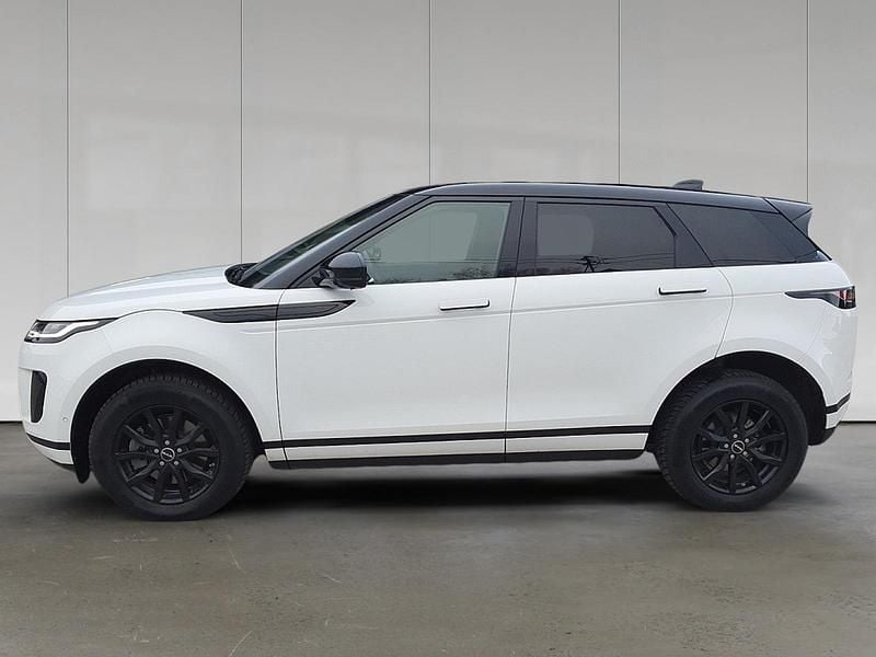 Gebraucht Land Rover Range Rover evoque 2020 Fuji white SUV