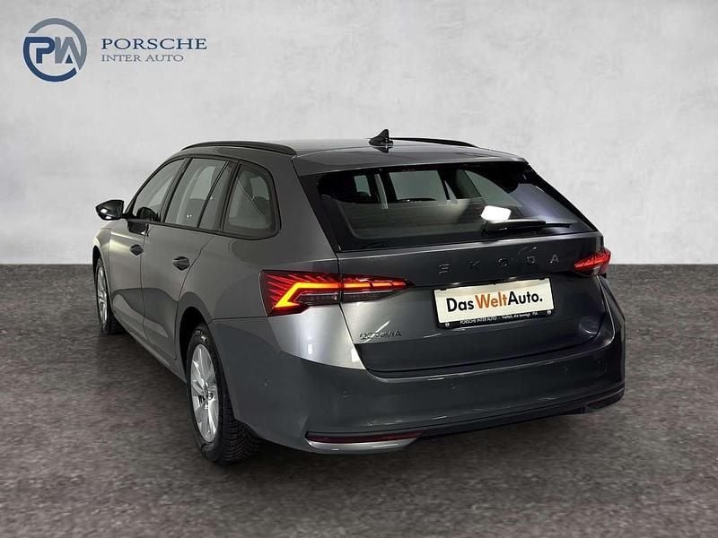 Gebraucht Skoda Octavia Selection 150 PS (110 kW) 2025 Mittelgrau  metallic Kombi