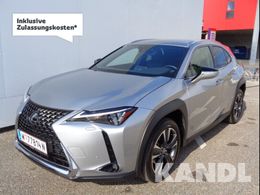 Lexus UX 250h