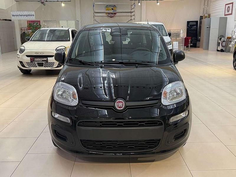 Neu Fiat Panda Icon 69 PS (50 kW) 2025 Limousine