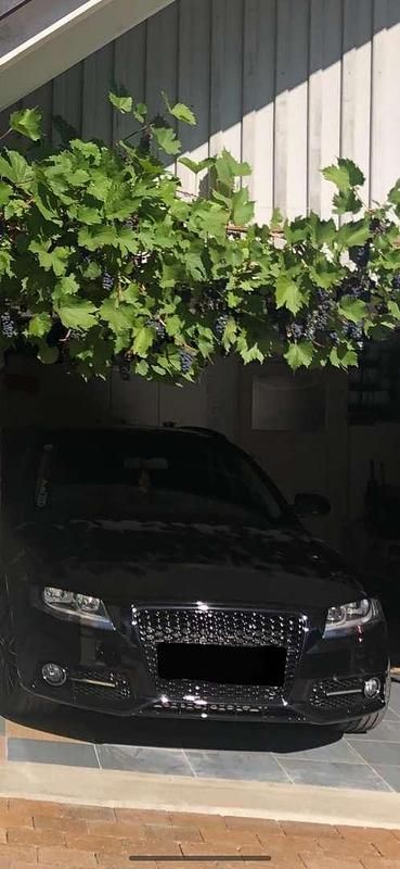 Gebraucht Audi A4 143 PS (105 kW) 2010 Kombi