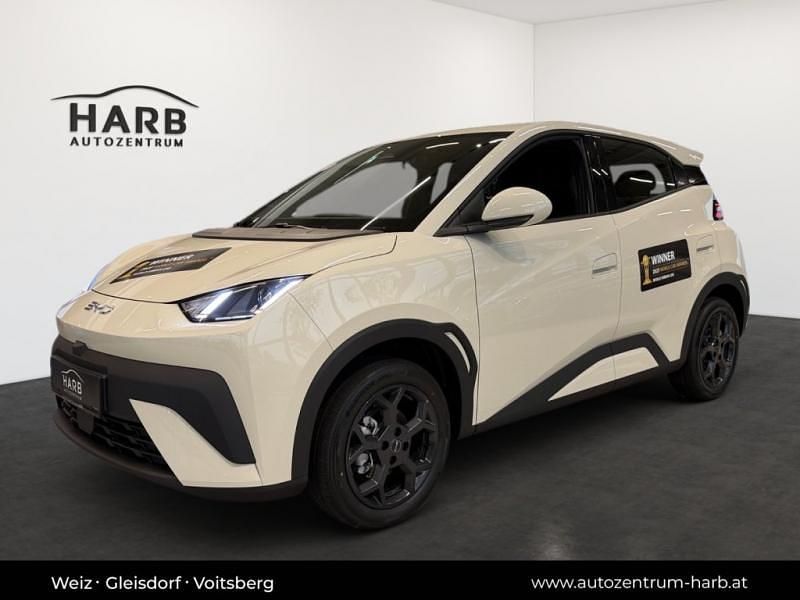 Neu BYD Dolphin Surf Boost 64 kW (88 PS) 2025 Kleinwagen