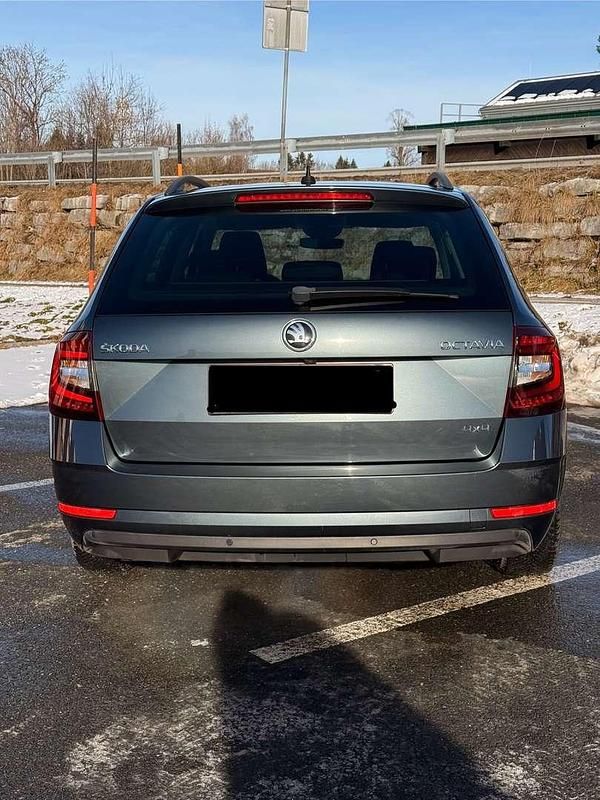 Gebraucht Skoda Octavia Style 116 PS (85 kW) 2019 Grau Kombi