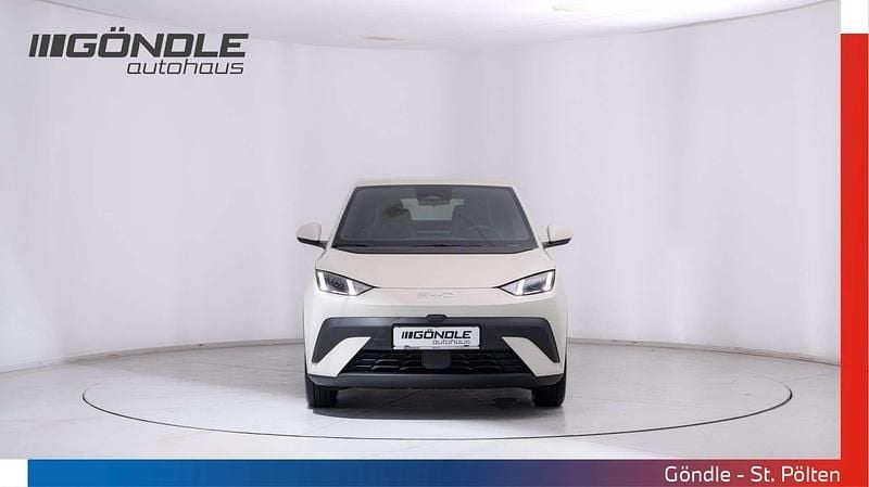 Gebraucht BYD Dolphin Surf 64 kW (88 PS) 2025 Weiß Kleinwagen