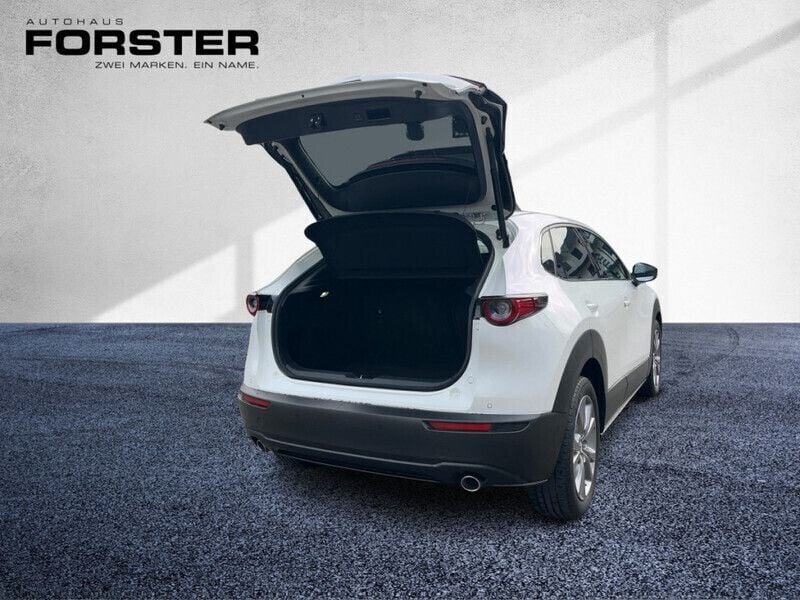 Gebraucht Mazda CX-30 122 PS (89 kW) 2019 SUV