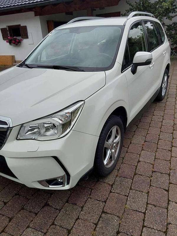 Gebraucht Subaru Forester Comfort 147 PS (108 kW) 2015 Weiß SUV
