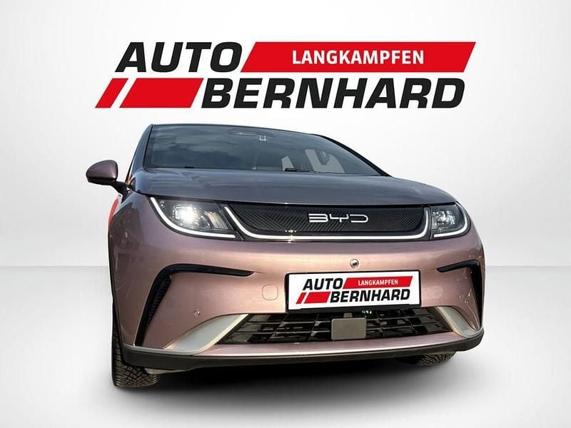Gebraucht BYD Dolphin Design 150 kW (204 PS) 2024 Grau Kleinwagen