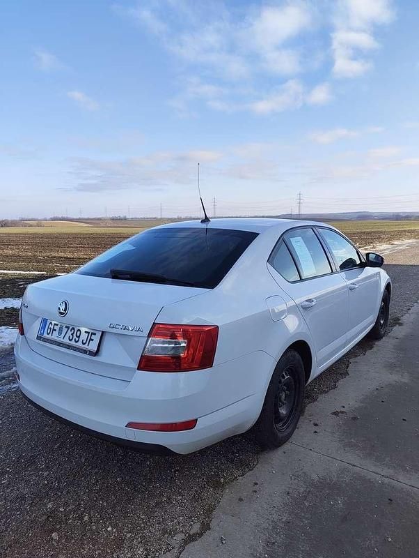 Gebraucht Skoda Octavia Active 105 PS (77 kW) 2014 Weiß Limousine