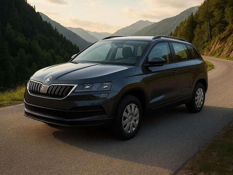 Blau Gebraucht 2019 Skoda Karoq SUV | € 15.400 (Fairer Preis) - Bild 1/1