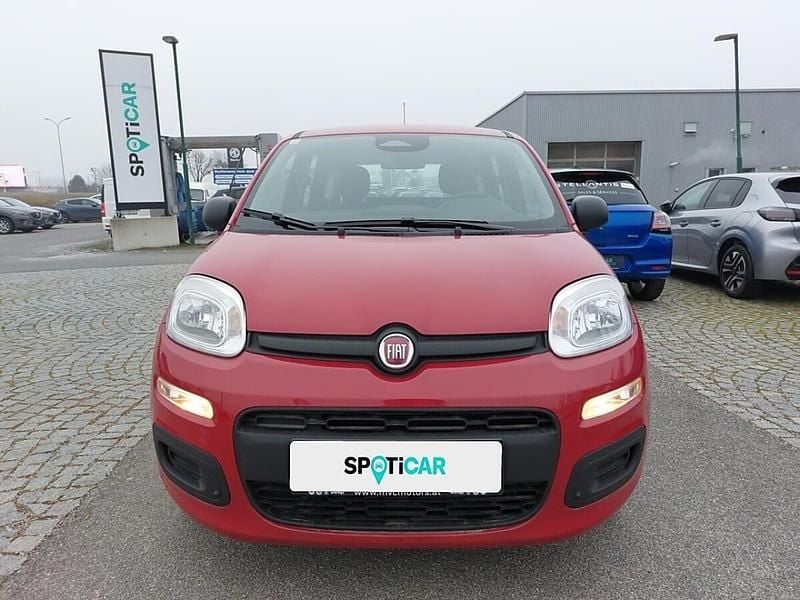 Neu Fiat Panda 69 PS (50 kW) 2025 Rot Limousine