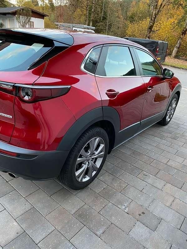 Gebraucht Mazda CX-30 Comfort 122 PS (89 kW) 2020 Rot SUV
