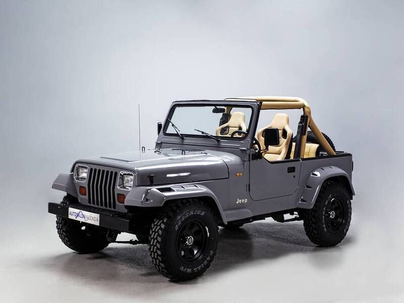 Gebraucht Jeep Wrangler 119 PS (87 kW) 1991 Grau SUV
