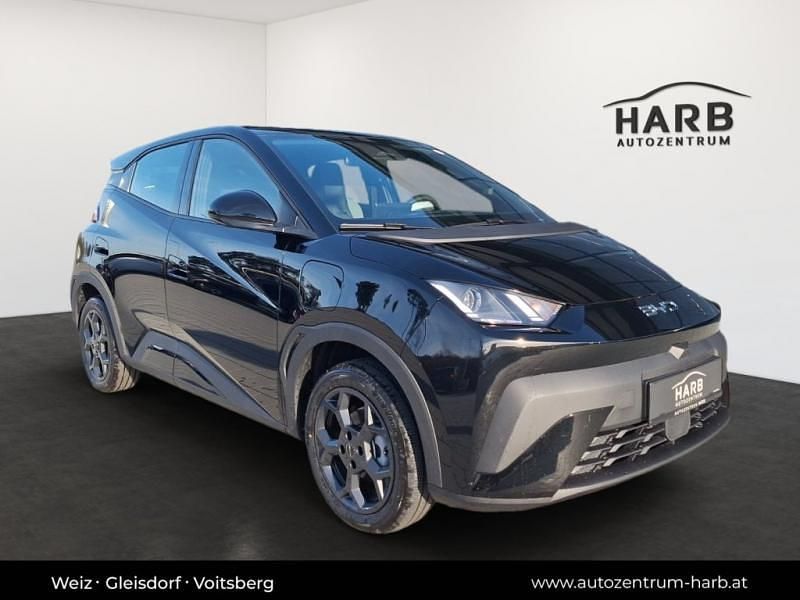 Neu BYD Dolphin Surf Comfort 114 kW (156 PS) 2025 Polar night black Kleinwagen