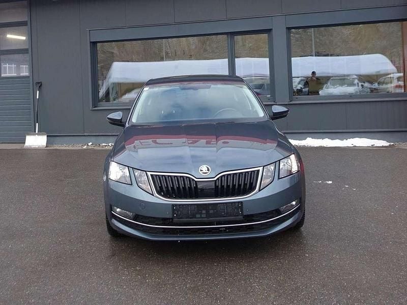 Gebraucht Skoda Octavia Style 190 PS (139 kW) 2019 Grau Kleinwagen