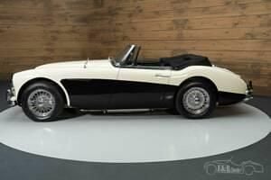 Gebraucht Austin Healey 3000 MK III 150 PS (110 kW) 1964 Weiß Cabrio