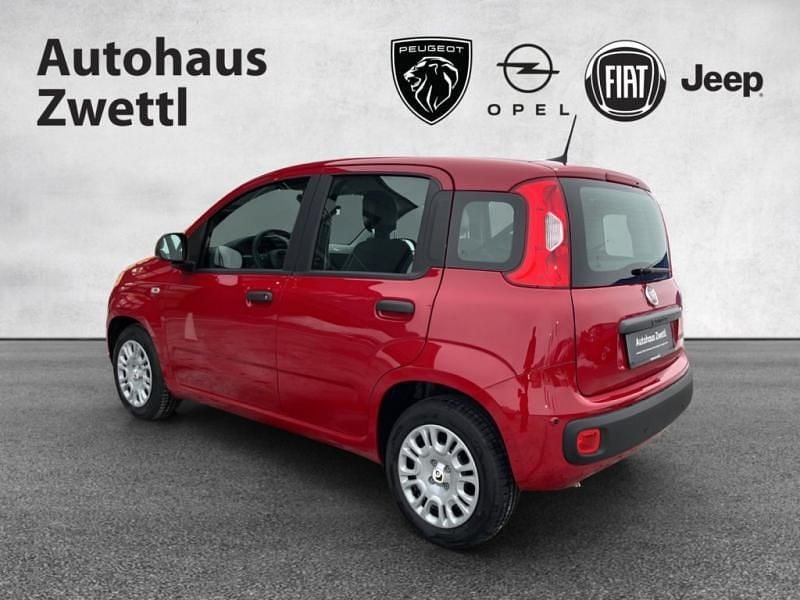 Neu Fiat Panda Icon 71 PS (52 kW) 2026 Schwarz Kleinwagen